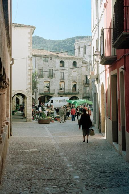 Apartamentos Saltarel·lo Besalú Exterior foto