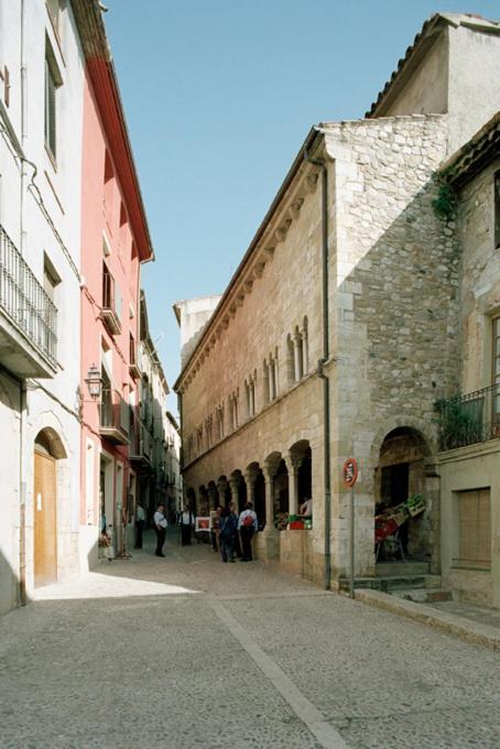 Apartamentos Saltarel·lo Besalú Exterior foto